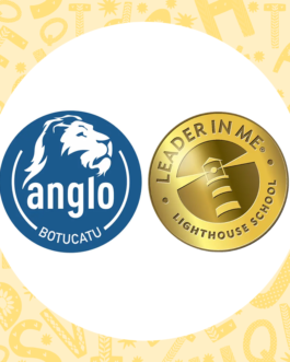 Colégio Anglo – Botucatu/SP – 1º ao 9º ano
