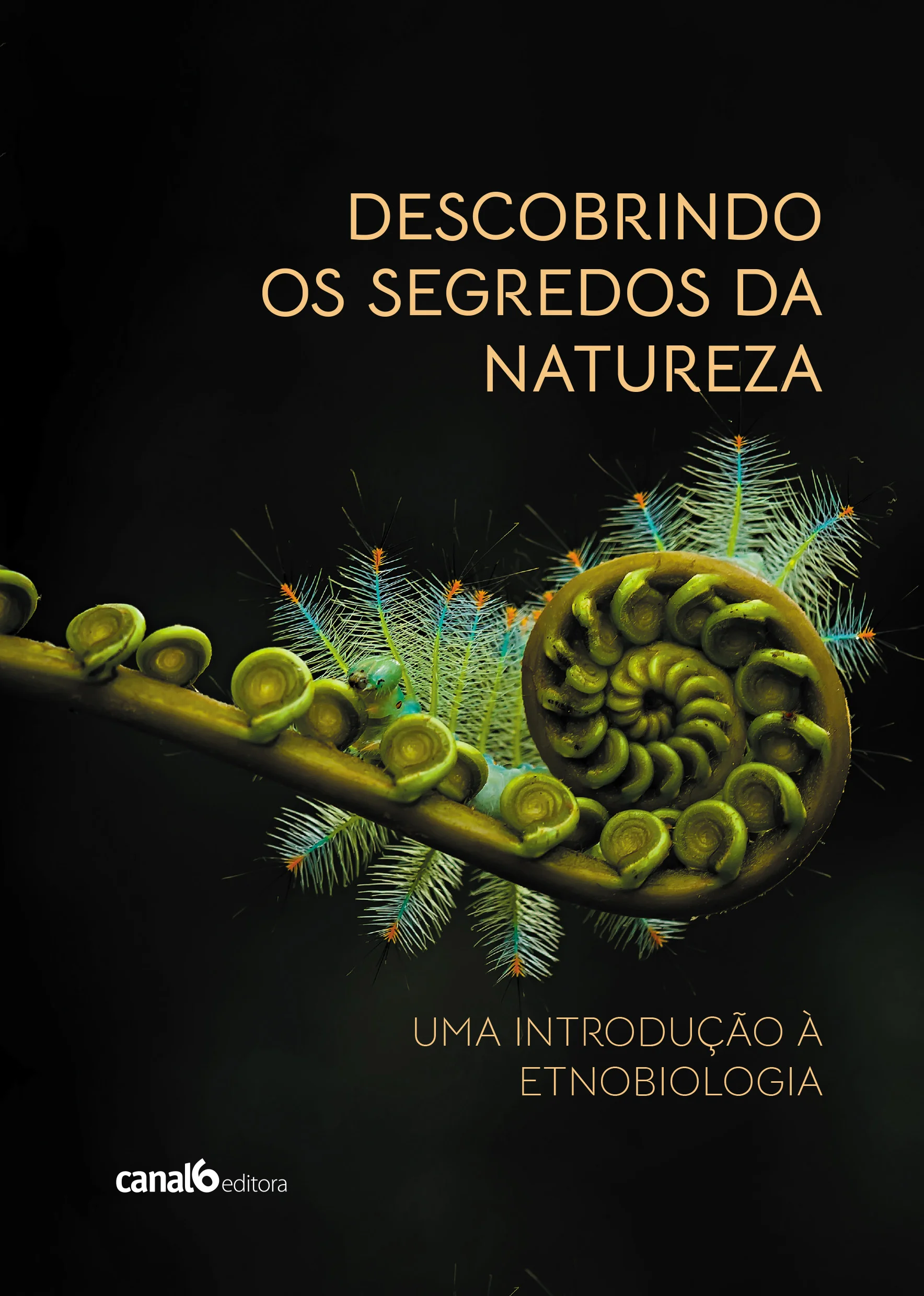 Capa_Descobrindo os segredos
