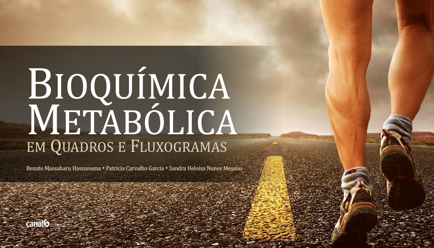 Bioquímica metabólica em quadros e fluxogramas